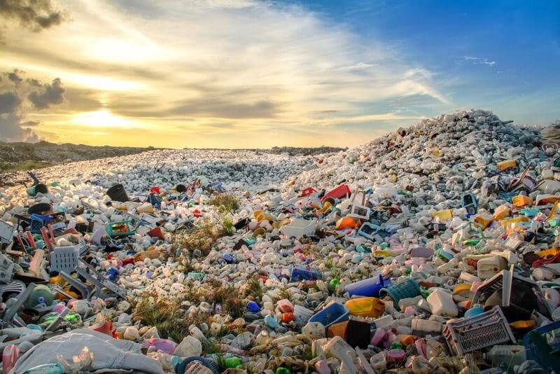 Tác hại của rác thải nhựa do con người gây ra