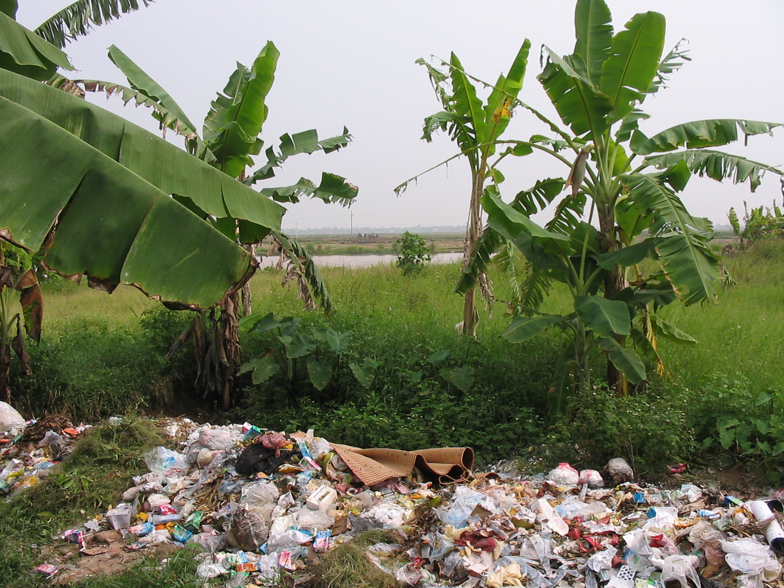 rác thải sinh hoạt tại Việt Nam