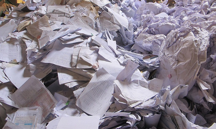 Thu mua giấy phế liệu giúp bảo vệ tài nguyên thiên nhiên không bị cạn kiệt