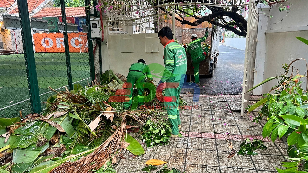 Dịch vụ cắt tỉa cây xanh chăm sóc cảnh quan Phú Cường Hưng