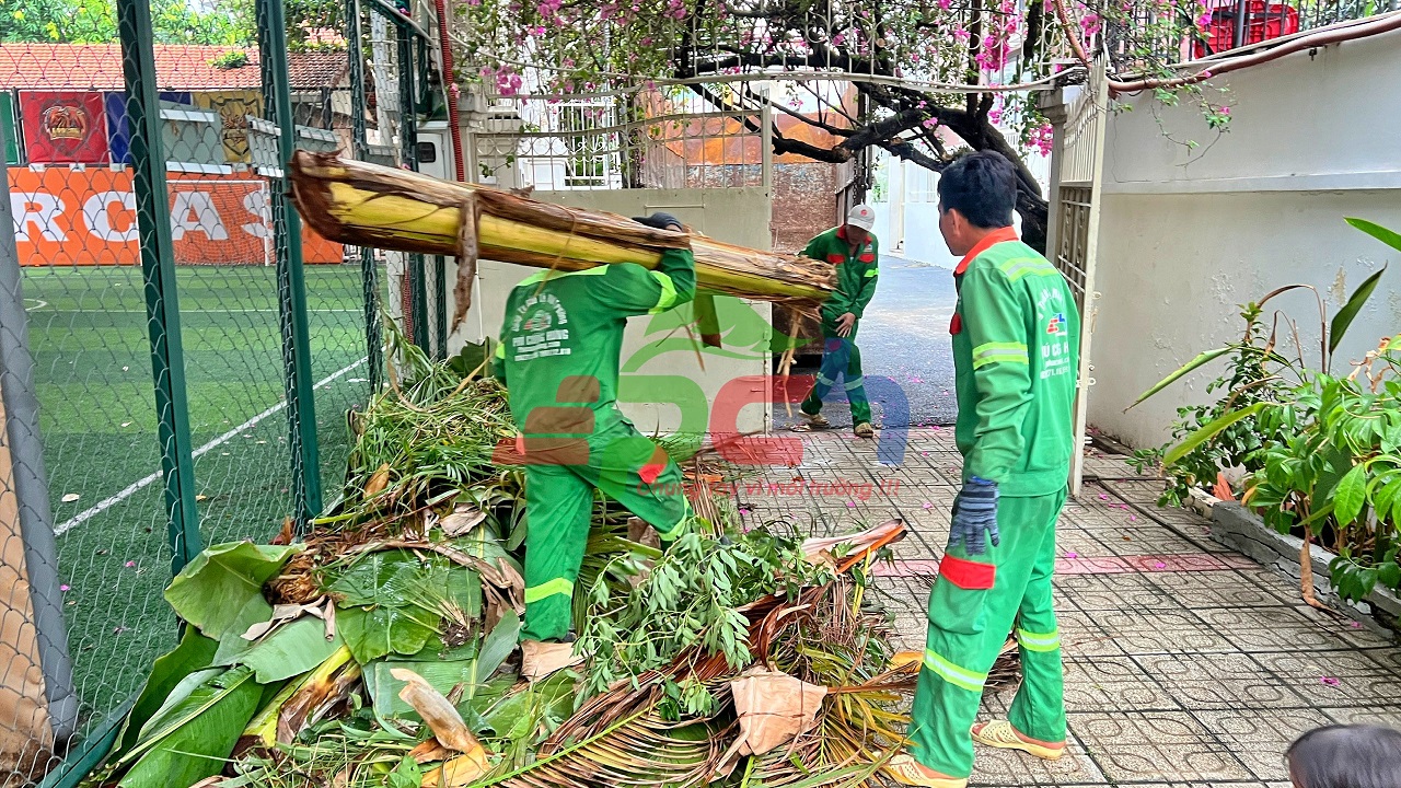 Những lợi ích bất ngờ từ dịch vụ cắt tỉa cây xanh chăm sóc cảnh quan