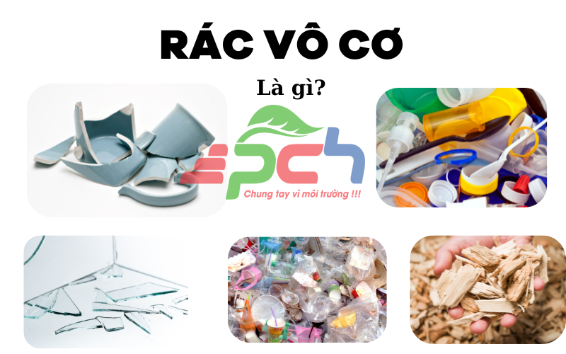 Rác hữu cơ là gì?