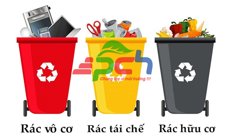 Hướng dẫn chi tiết cách phân loại rác vô cơ và rác hữu cơ tại nhà